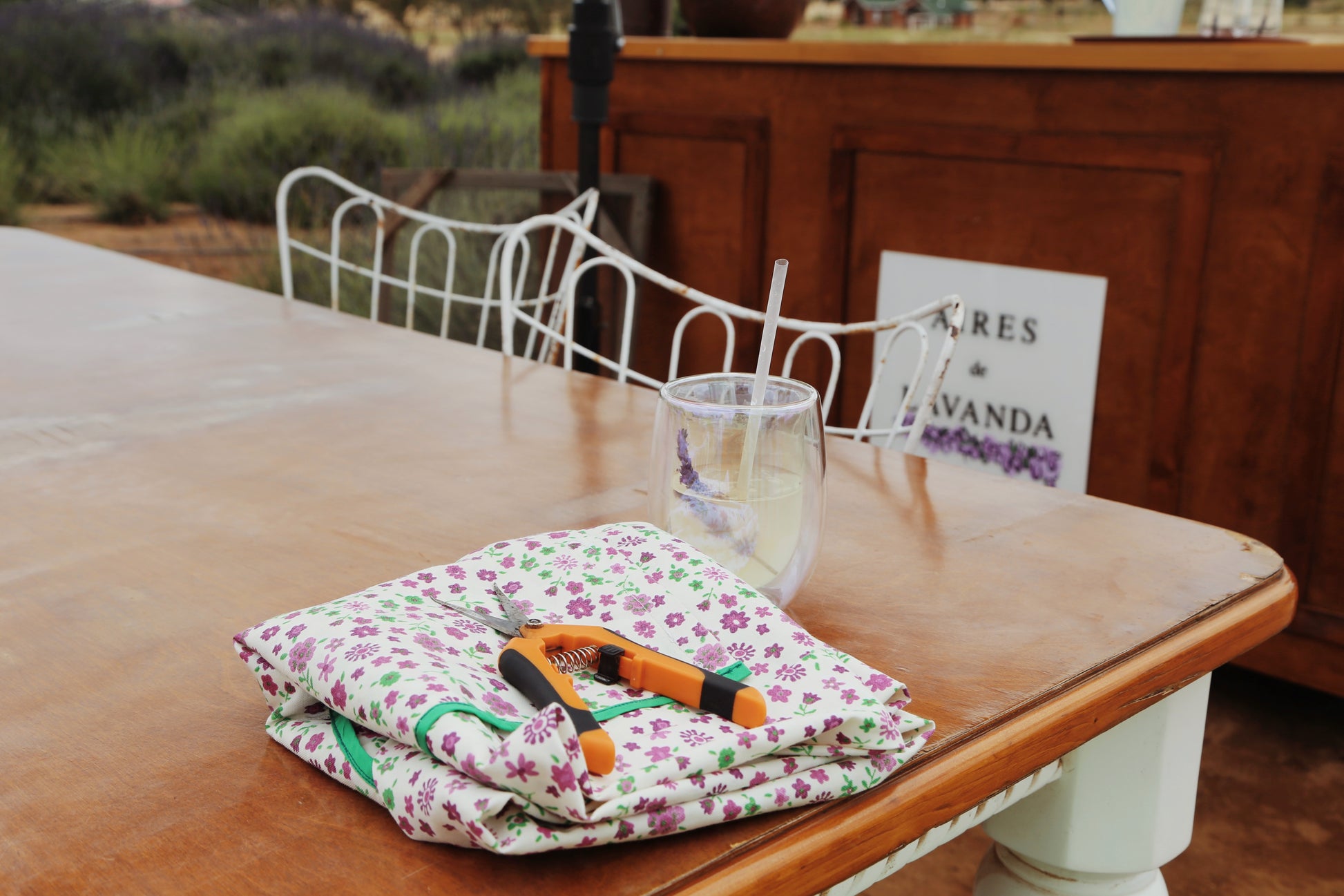 Guided Tour through Campo de Lavanda - Aires de Lavanda