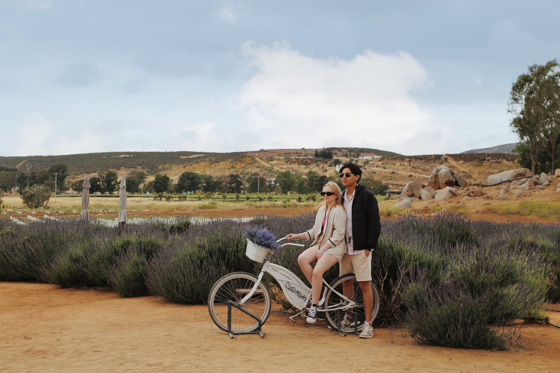 Guided Tour through Campo de Lavanda - Aires de Lavanda