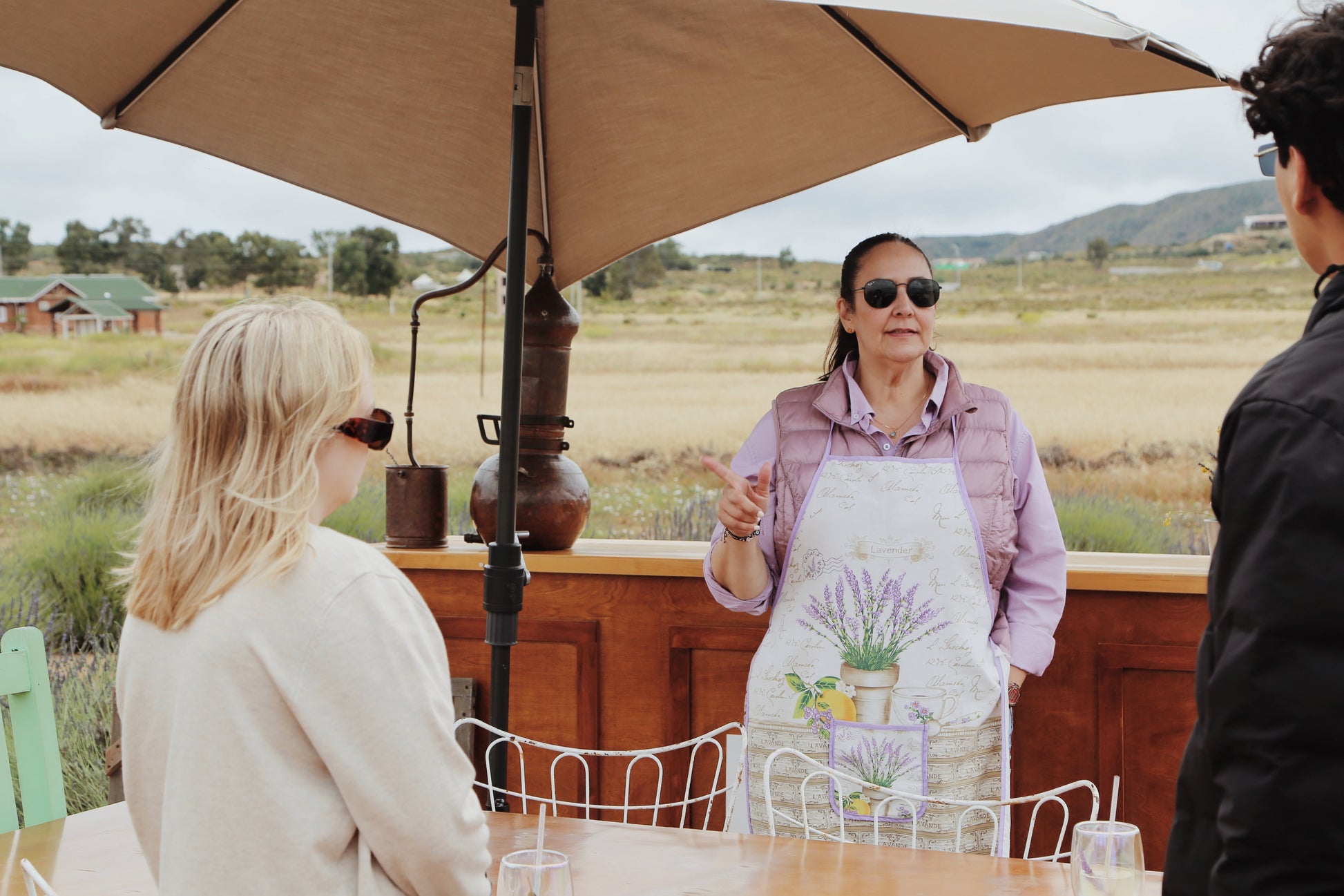 Guided Tour through Campo de Lavanda - Aires de Lavanda