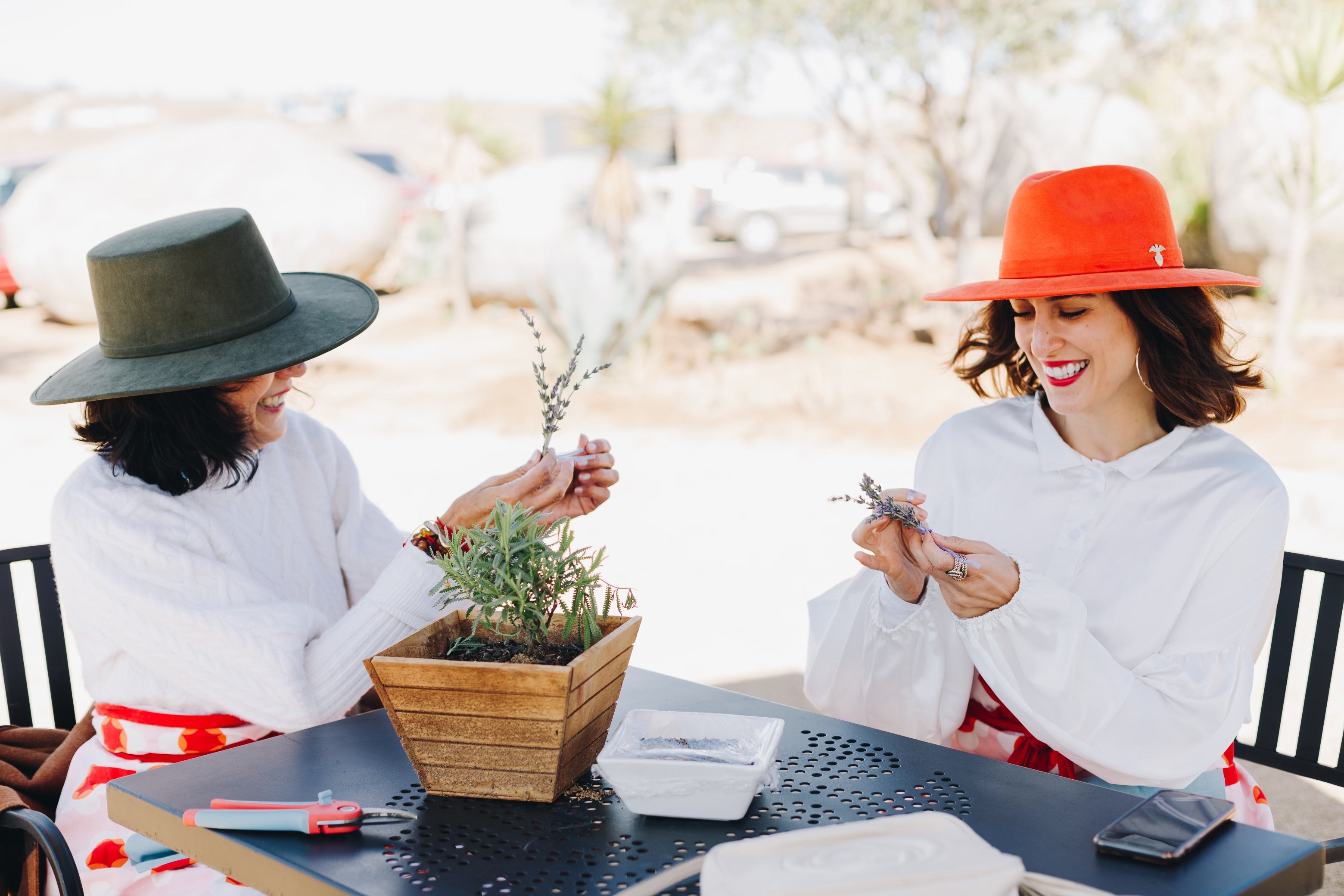 Recorrido Guiado por Campo de Lavanda - Aires de Lavanda