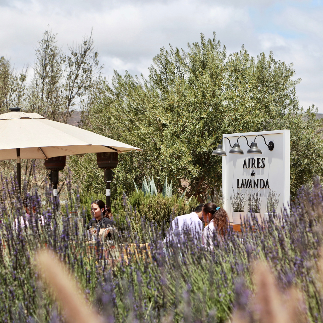 5.png__PID:0163f564-57b2-478e-817b-f13baaf947a3