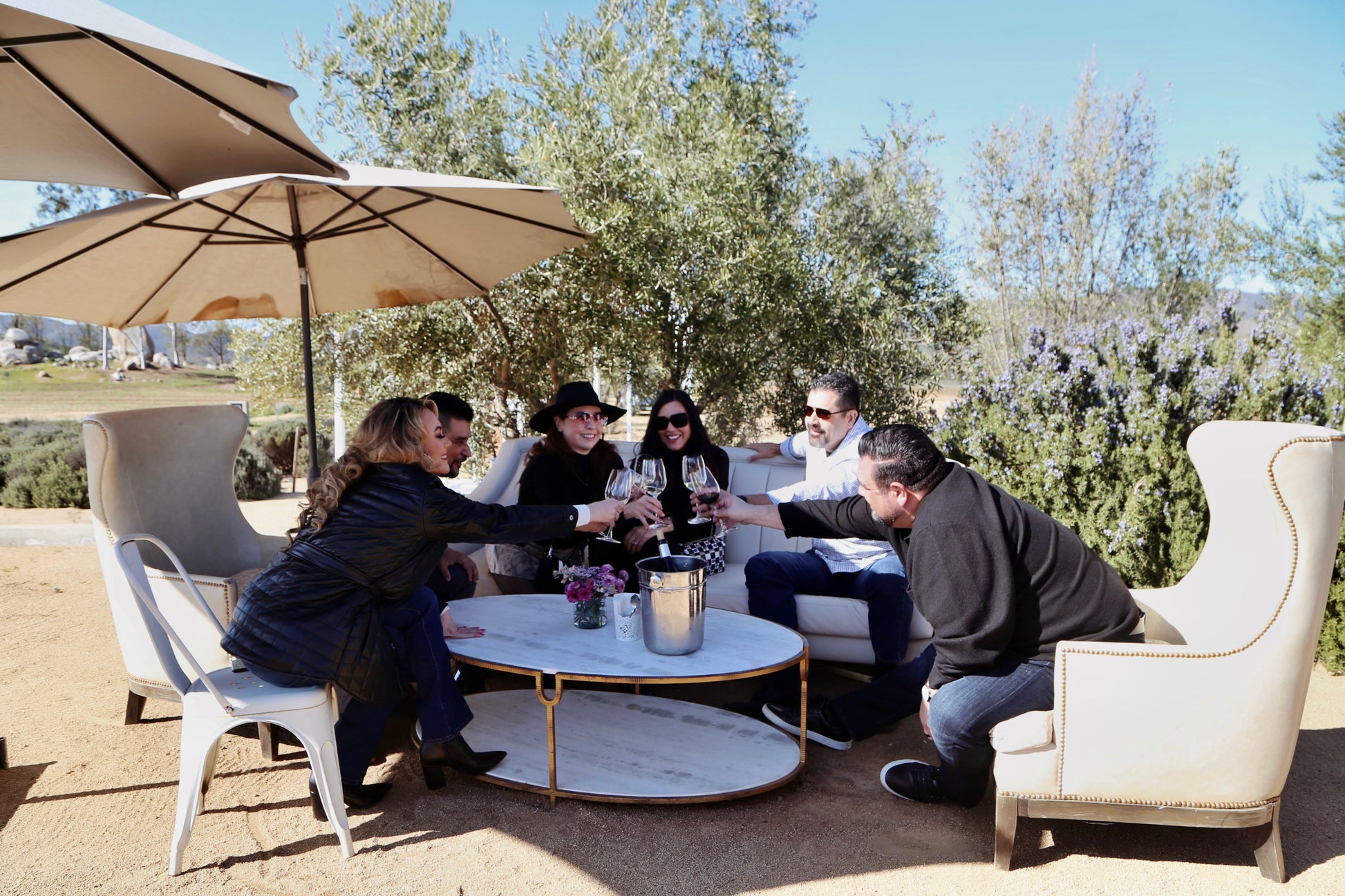 Degustación de 3 vinos - Aires de Lavanda