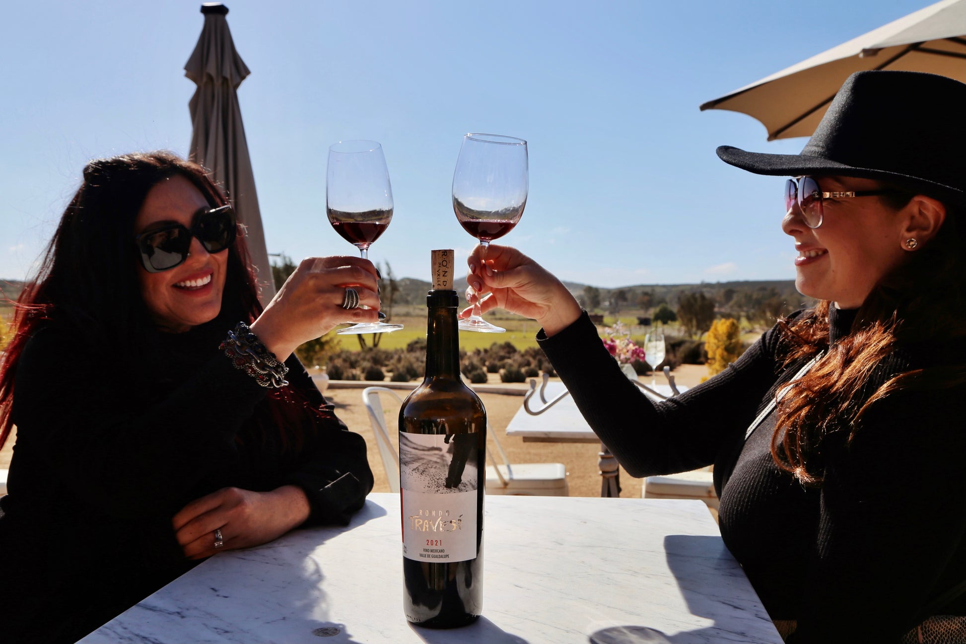 Degustación de 3 vinos - Aires de Lavanda
