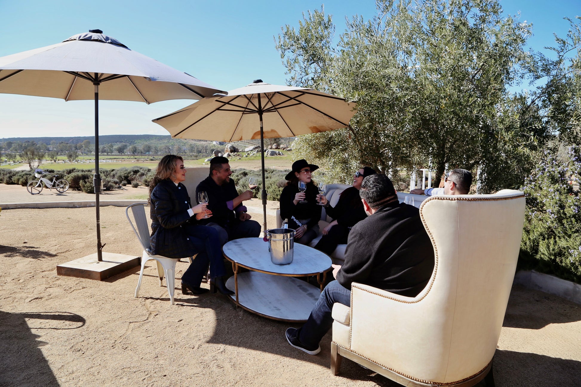 Degustación de 3 vinos - Aires de Lavanda
