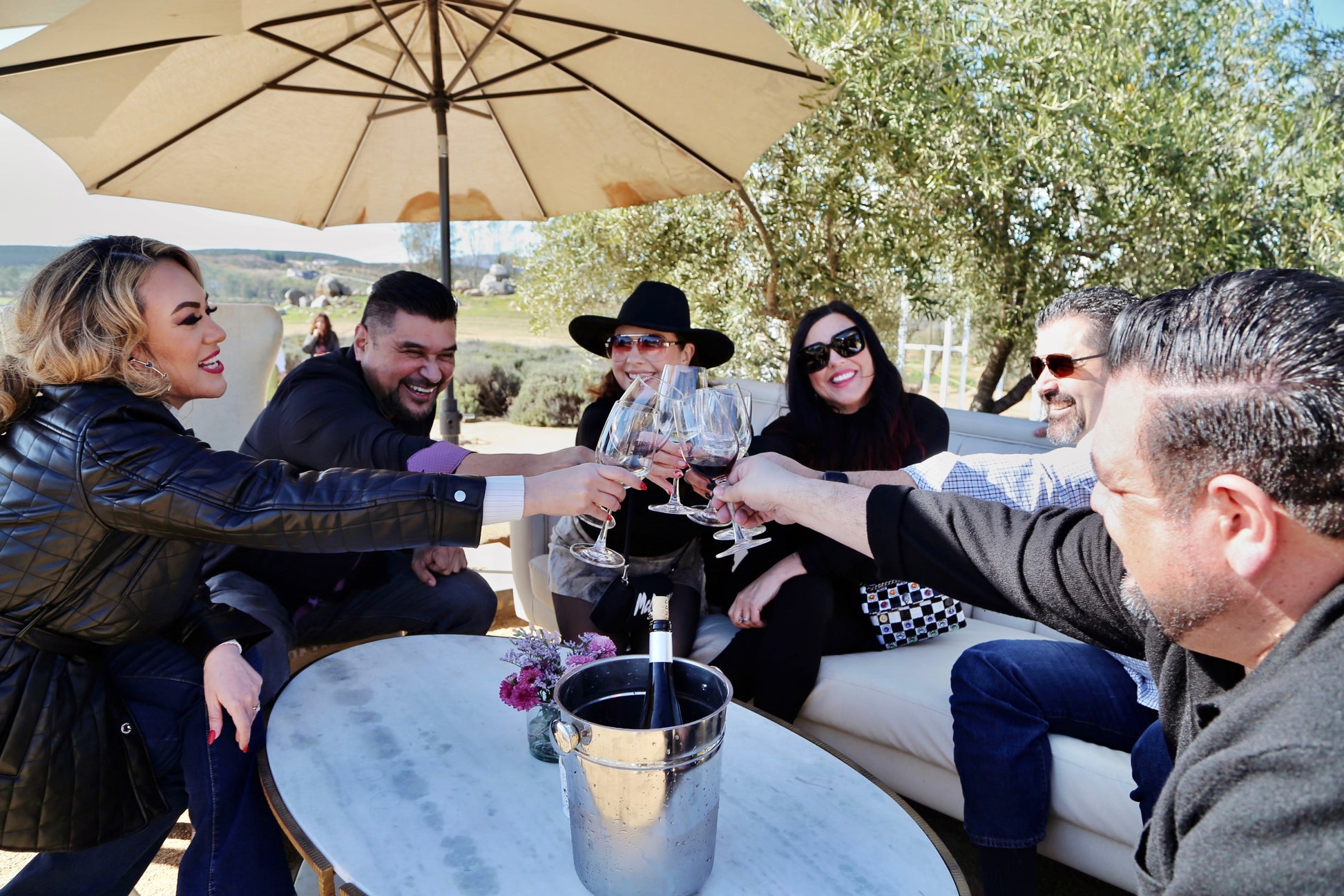 Degustación de 3 vinos - Aires de Lavanda