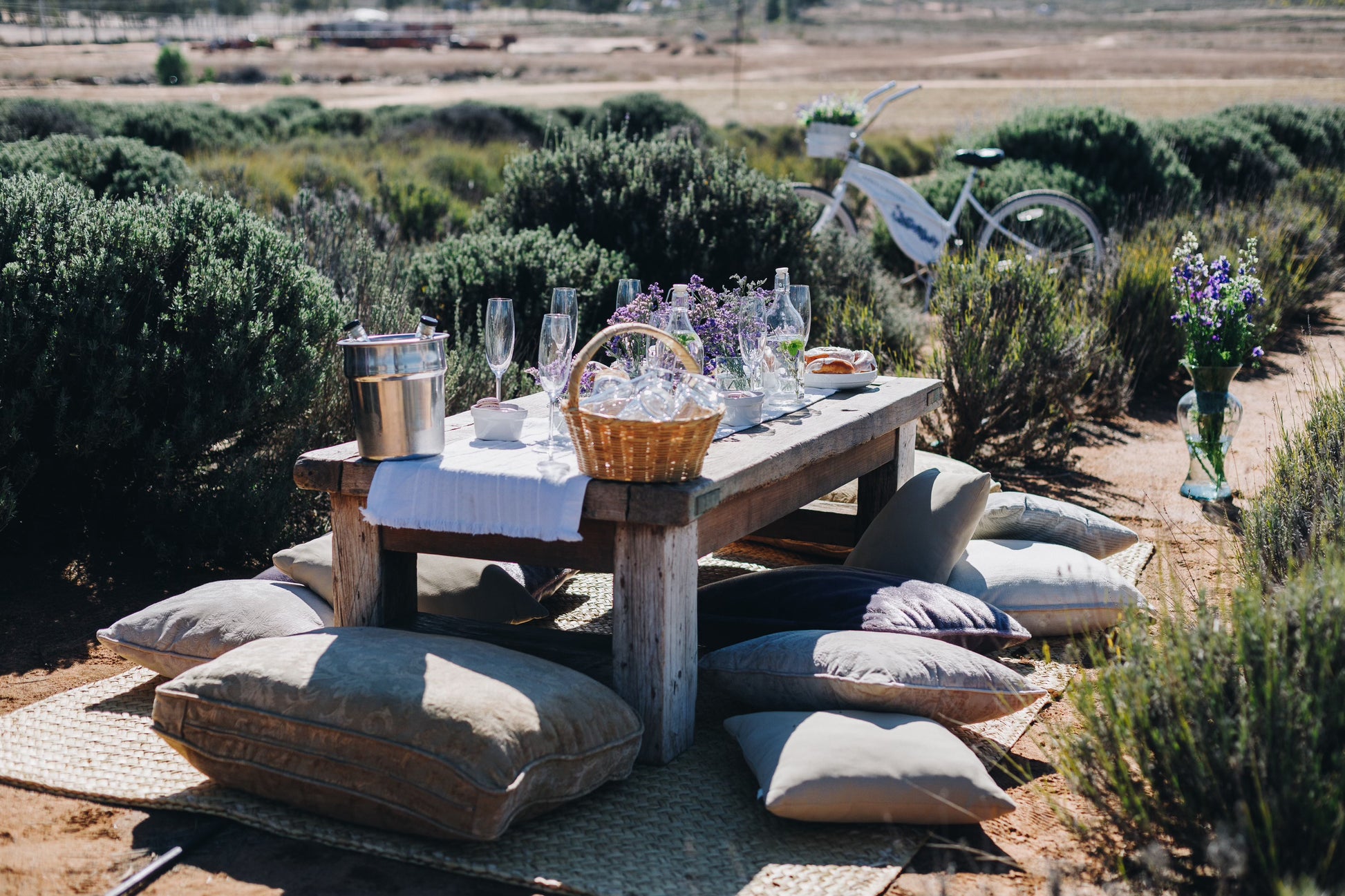 Picnic among Lavender - Aires de Lavanda