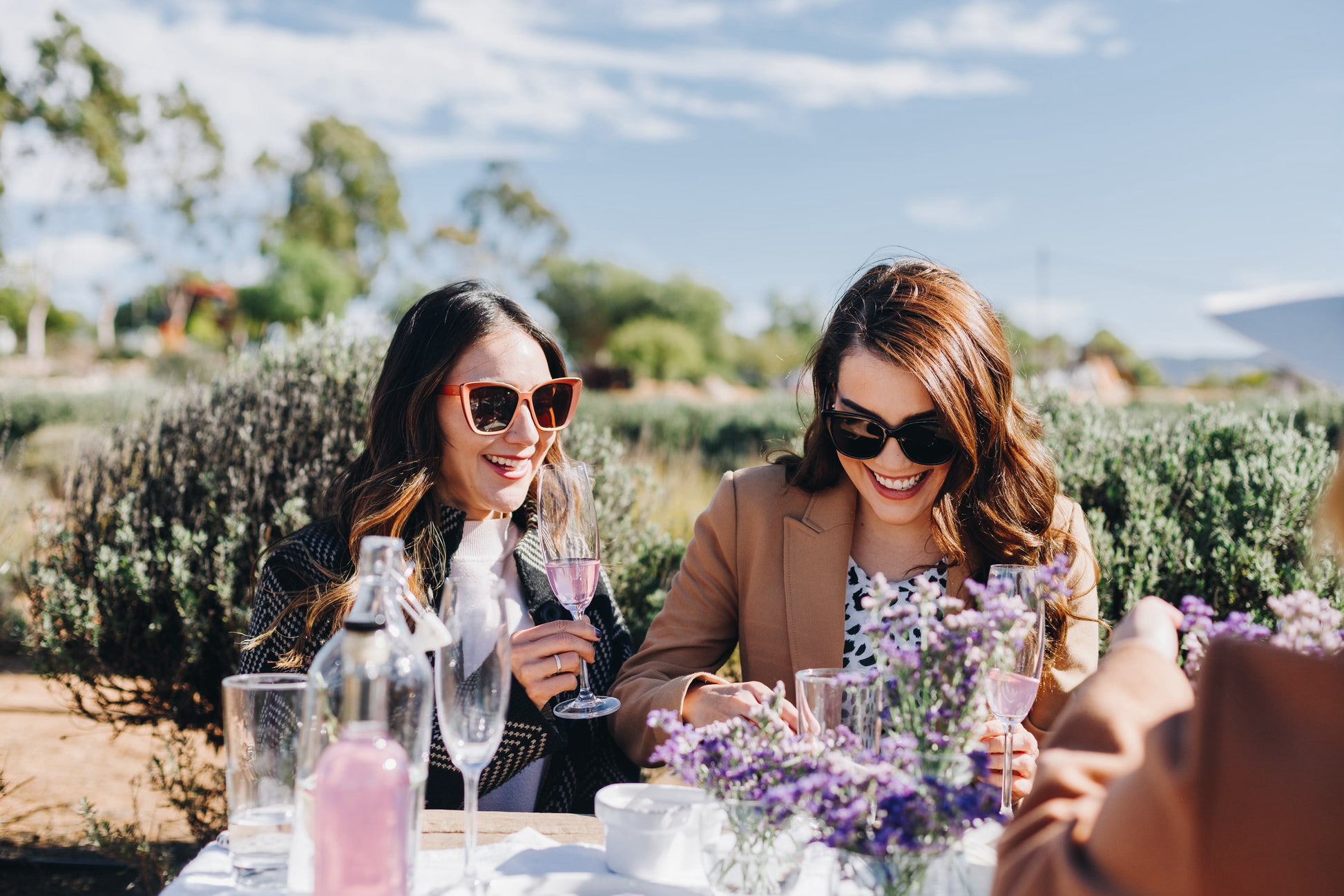 Picnic among Lavender - Aires de Lavanda