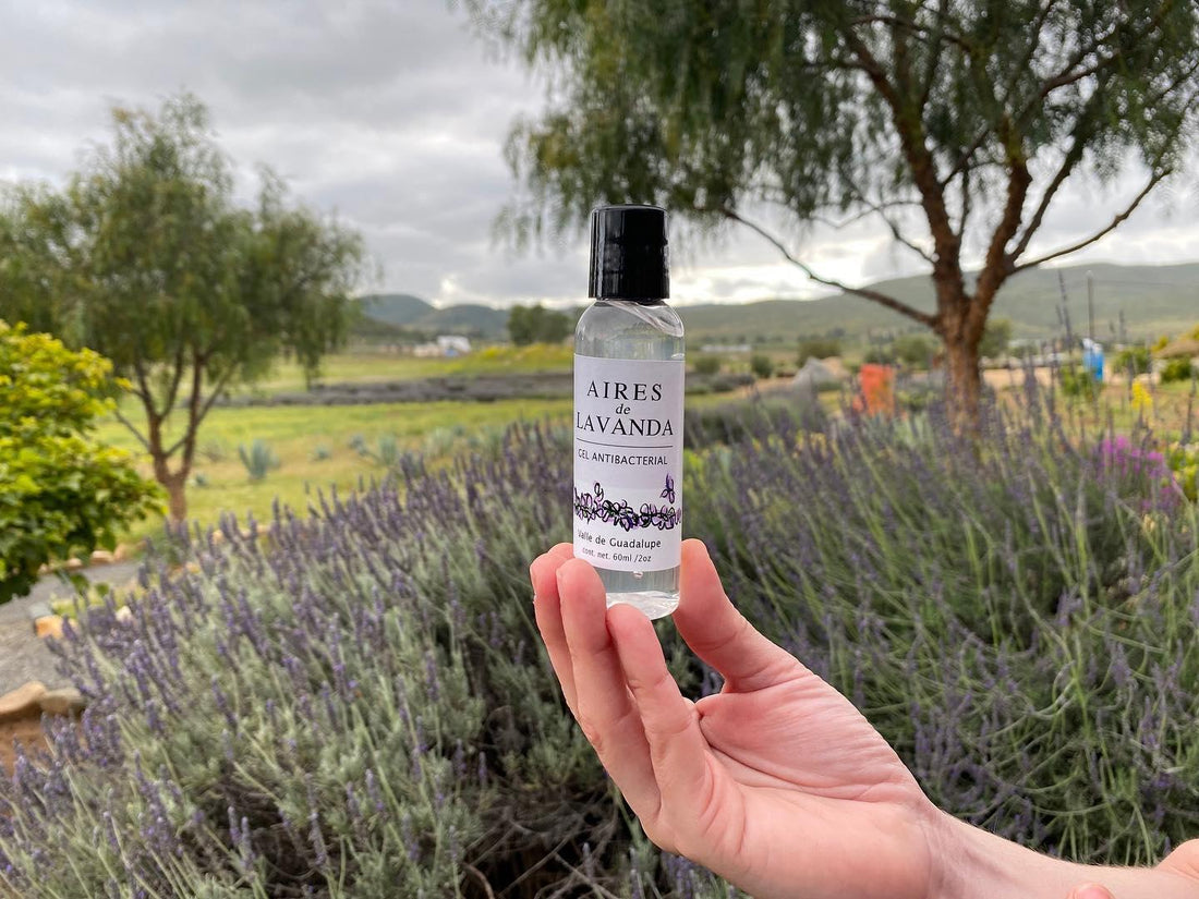 Gastronomy and mixology with lavender: celebrate World Agriculture Day at Aires de Lavanda