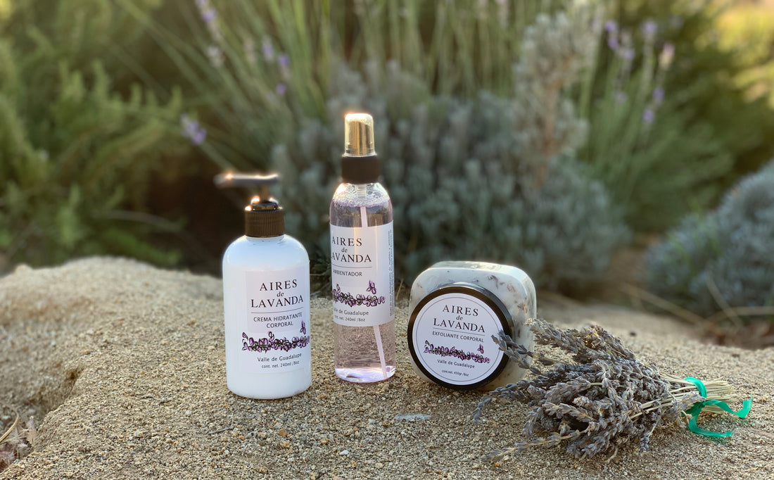 Aromaterapia con Lavanda: Tu Aliada para un Thanksgiving sin Estrés