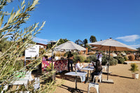 visítanos (reservaciones, experiencias, menú)