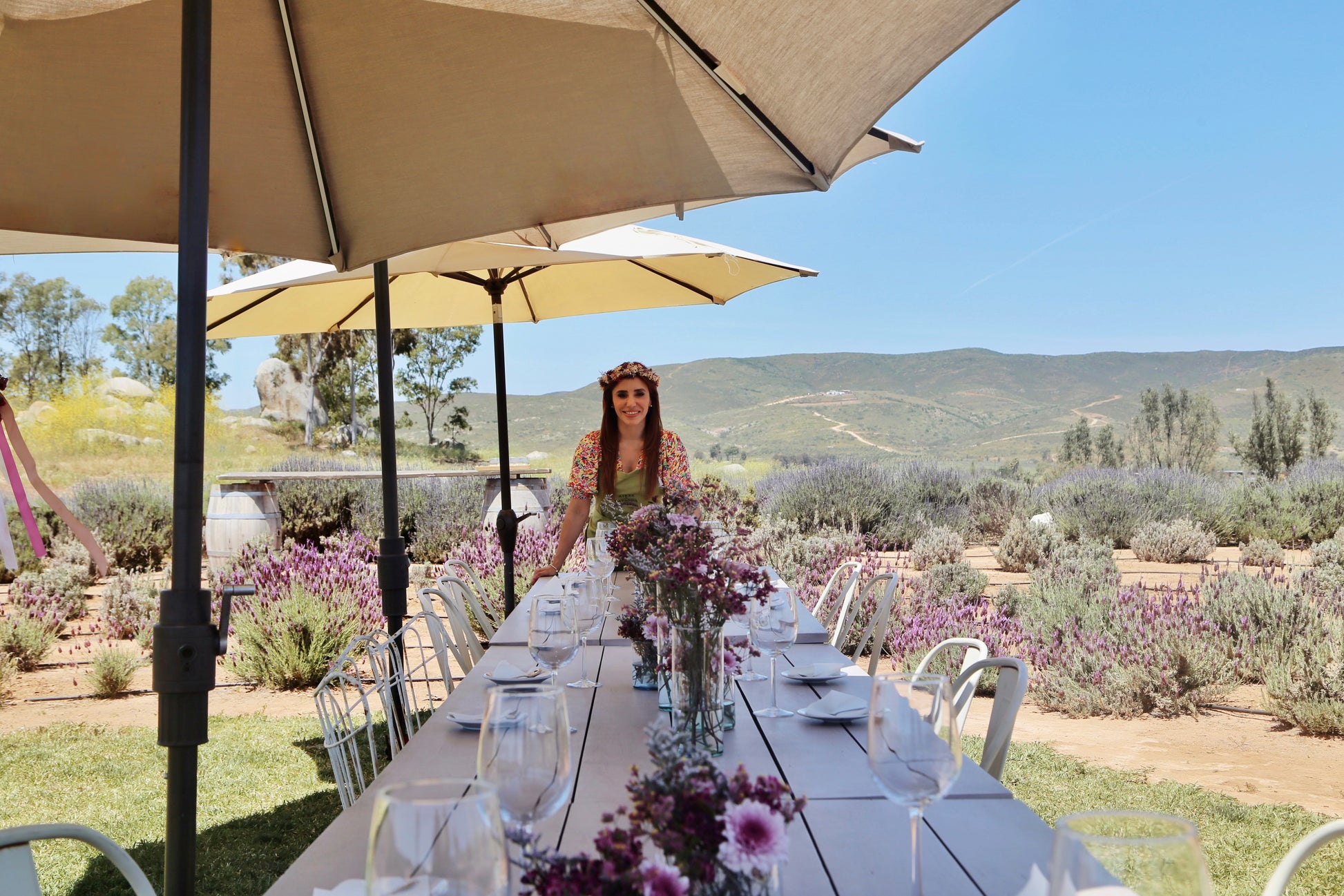 Heart of Spring - Aires de Lavanda