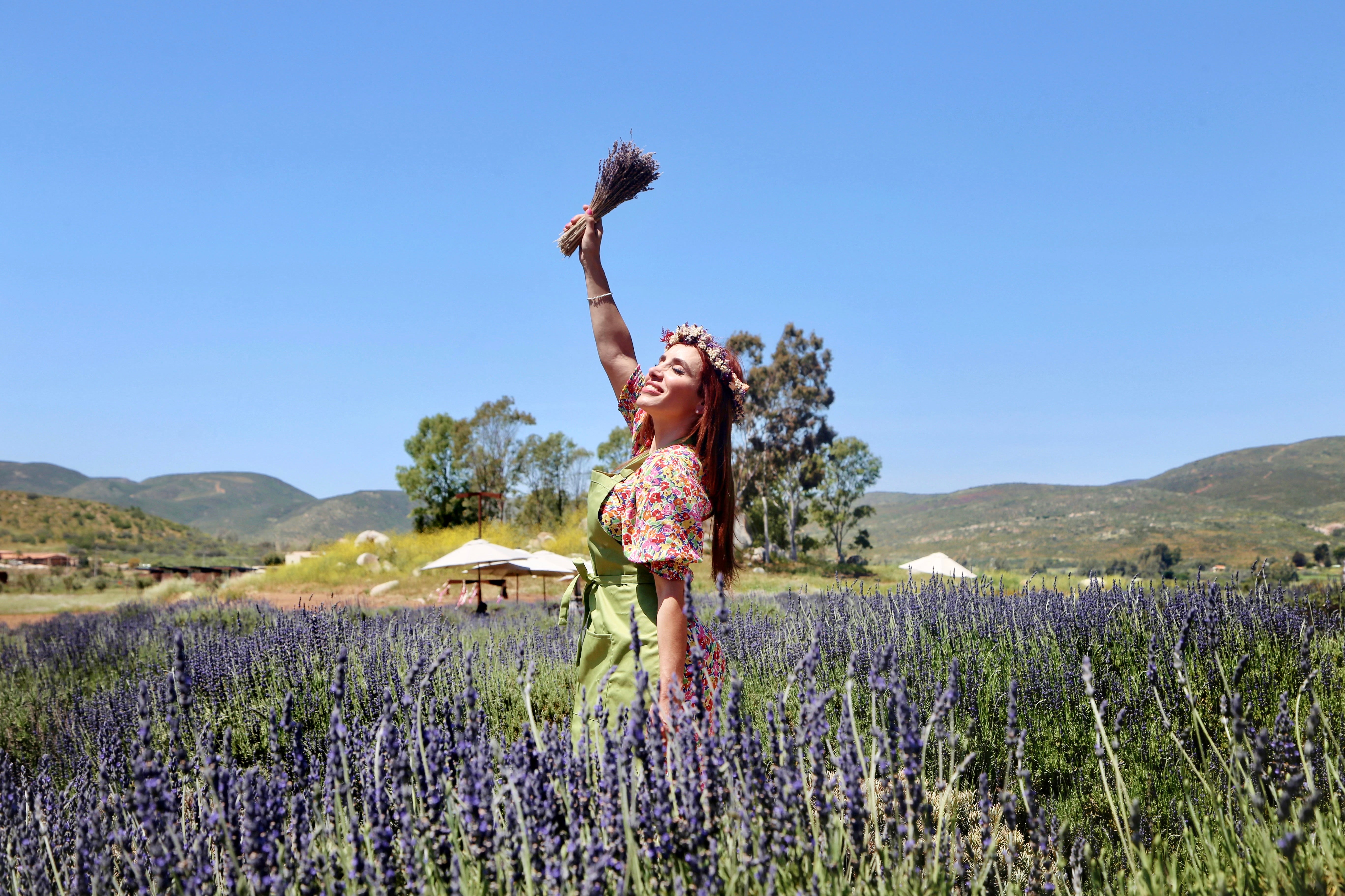 Corazón de Primavera - Aires de Lavanda