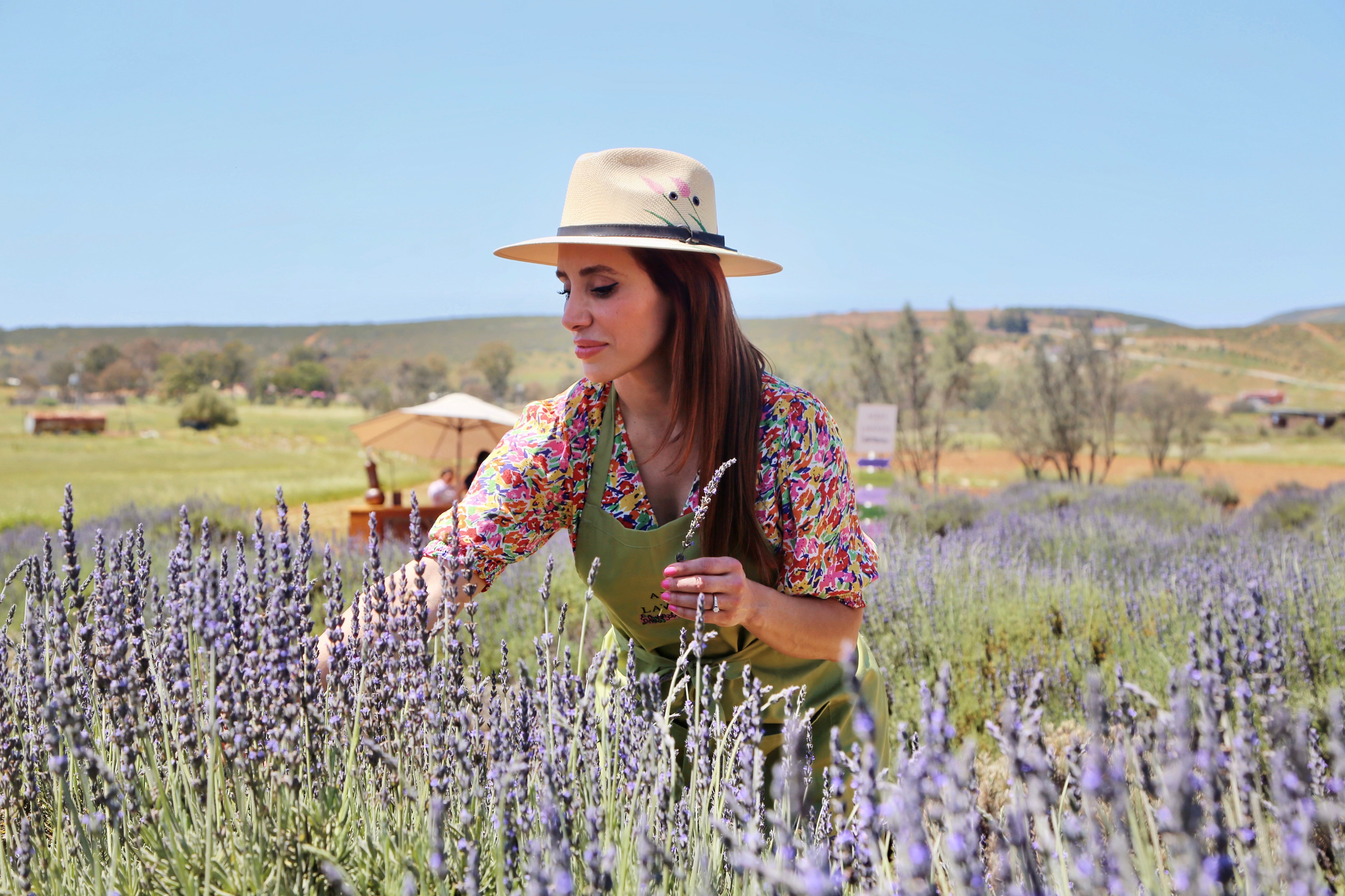 Corazón de Primavera - Aires de Lavanda
