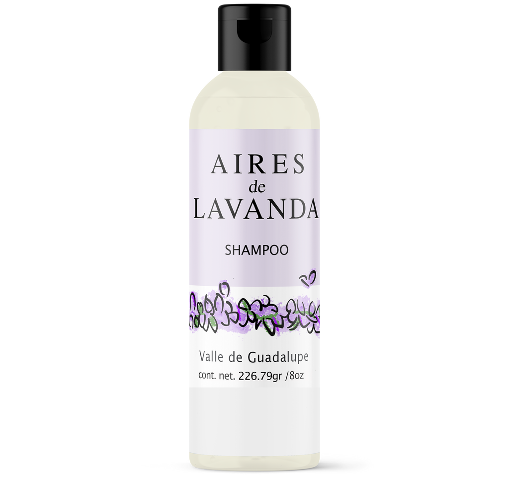 SHAMPOO - Aires de Lavanda