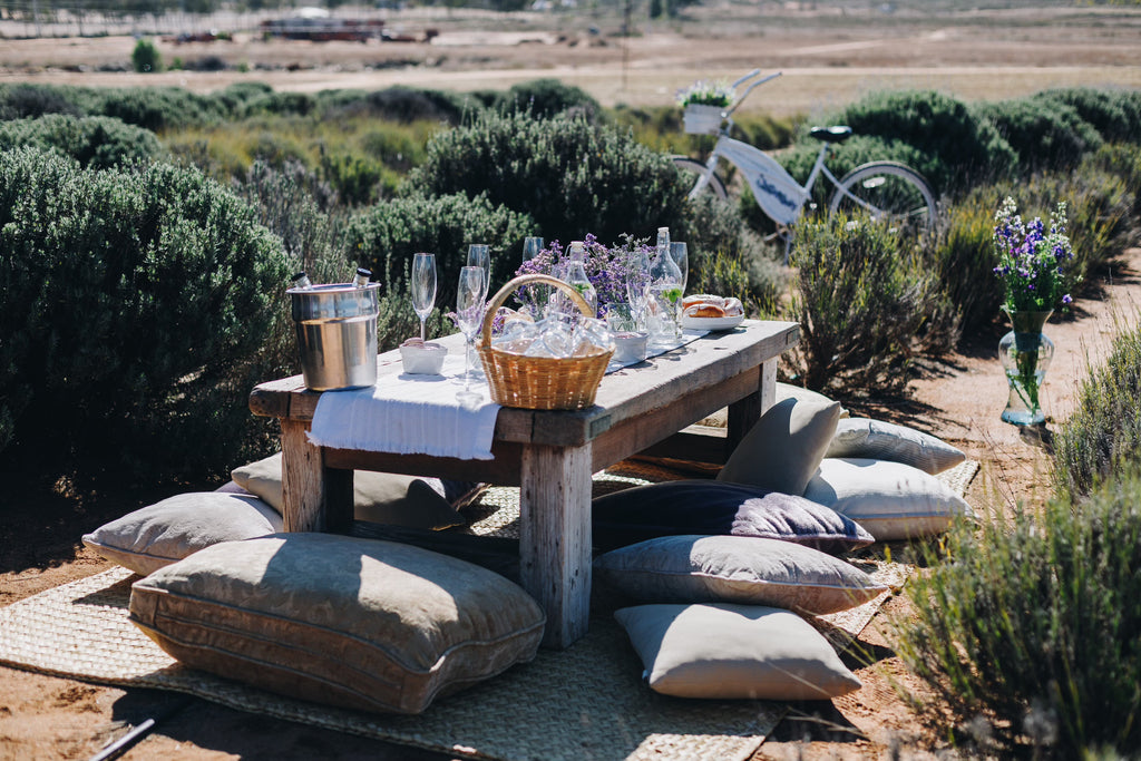 Picnic among Lavender - Aires de Lavanda