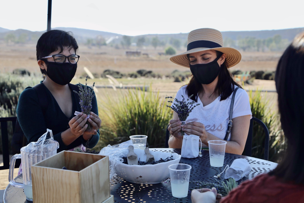 Valle de Guadalupe Get Away - Aires de Lavanda